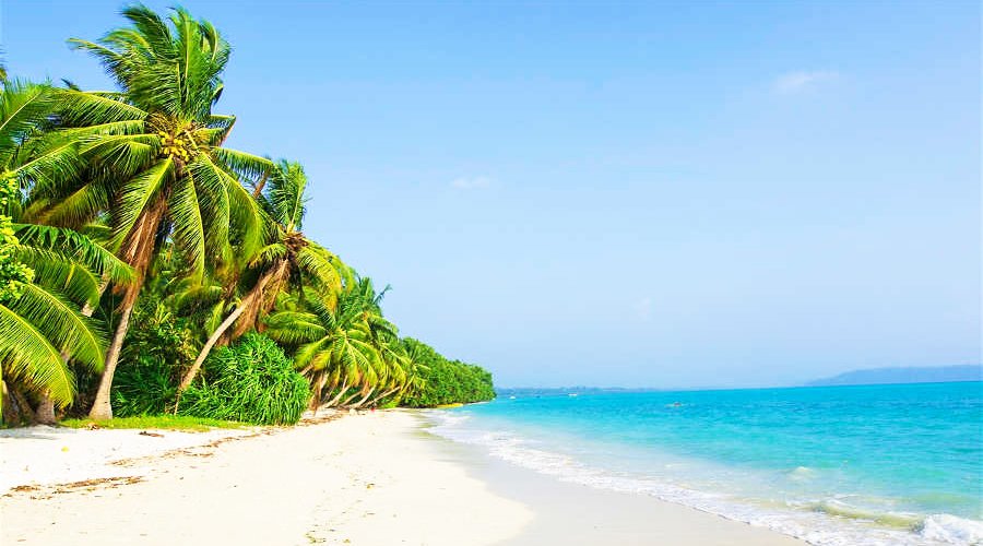 Andaman Island Explorer Plus-1