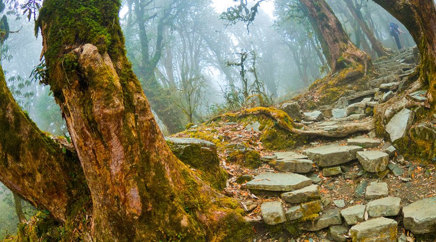 Meghalaya Adventure Trails-1